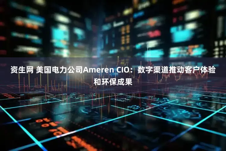 资生网 美国电力公司Ameren CIO：数字渠道推动客户体验和环保成果