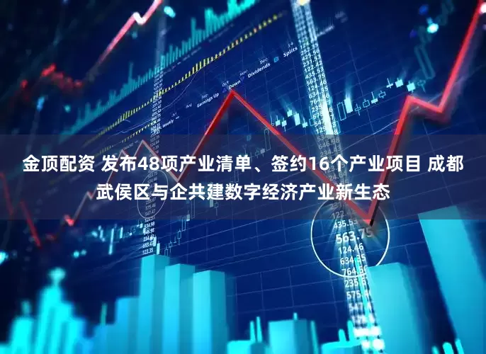 金顶配资 发布48项产业清单、签约16个产业项目 成都武侯区与企共建数字经济产业新生态