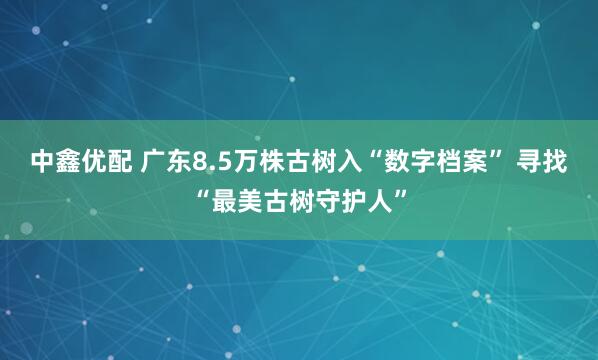 中鑫优配 广东8.5万株古树入“数字档案” 寻找“最美古树守护人”