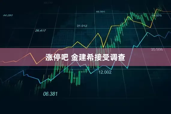涨停吧 金建希接受调查