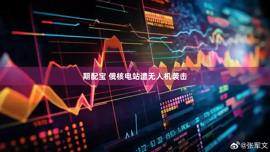 期配宝 俄核电站遭无人机袭击