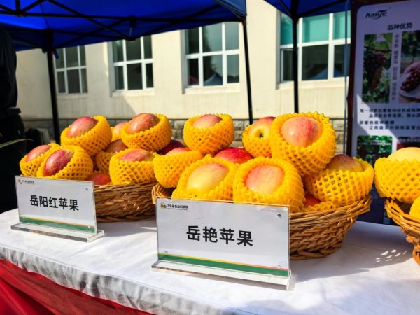 永旺配资端 记者手记：科技扎根黑土地